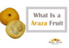 Health Facts On Araza Fruit facts On Araza Fruit