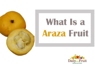 Health Facts On Araza Fruit facts On Araza Fruit