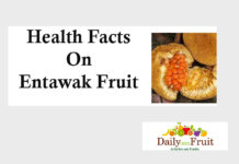 Health Facts On Entawak Fruit facts On entawak fruit