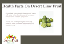 Health Facts on Desert Lime facts on desert lime