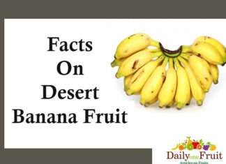 Health Facts On Desert Banana facts on dessert banana fruit
