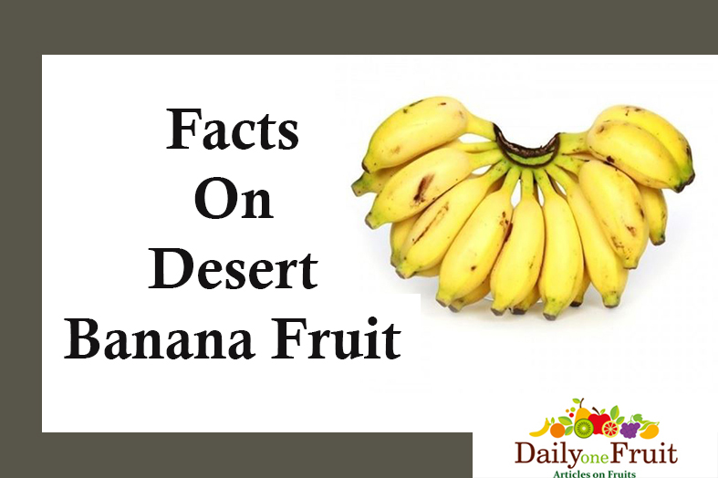 facts on dessert banana fruit