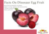 Facts On Dinosaur Egg Fruit facts on dinosaur egg fruit