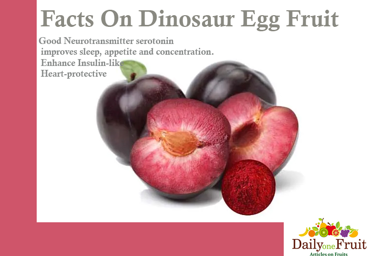 facts on dinosaur egg fruit