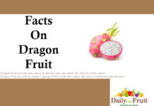 Health Benefits On Dragon Fruit facts on dragon fruit