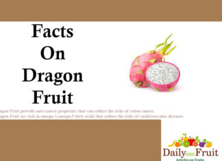 Health Benefits On Dragon Fruit facts on dragon fruit