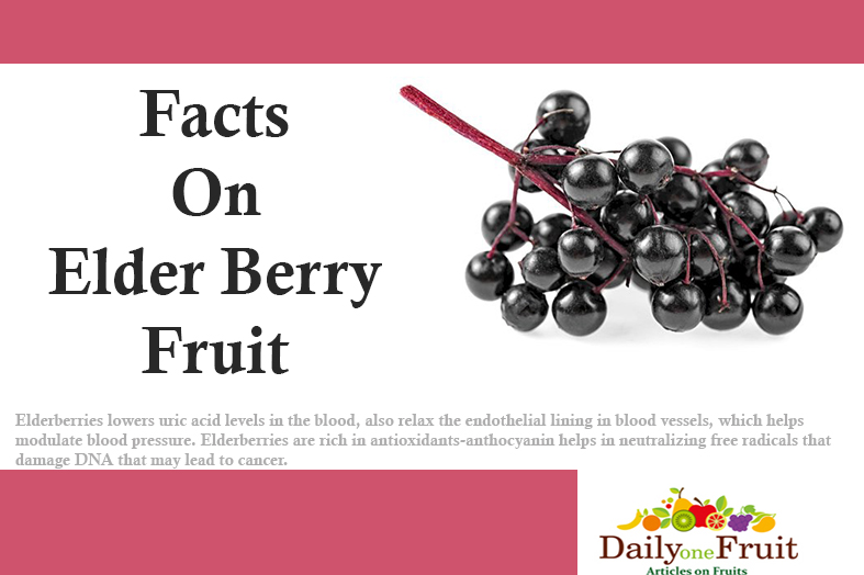 Health Facts on Elderberry