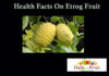 Health Facts On Etrog Fruit facts on etrog fruit