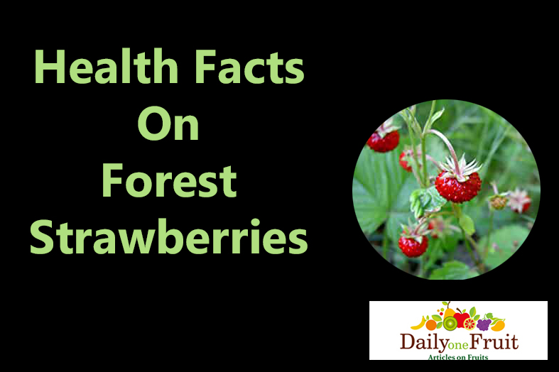 facts on forest strawberries