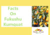 Health Facts on Fukushu Kumquat facts on fukushu kumquat