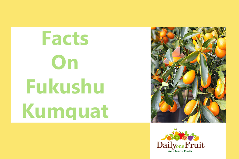 facts on fukushu kumquat