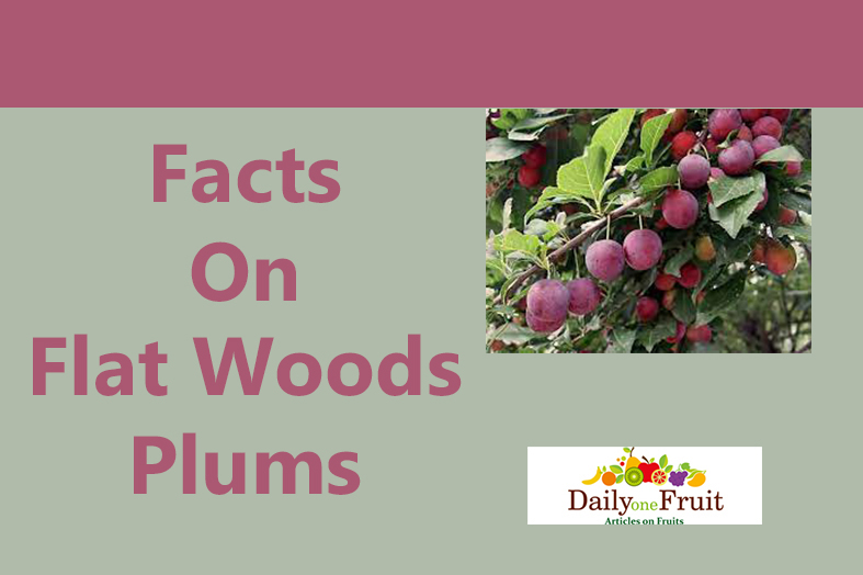 facts on flatwoods plums