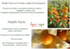 Facts On Chinese Lantern Fruit Physalis health-Facts-On-Chinese-Latern-PHYSALIS