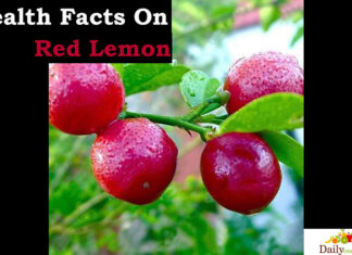 Health Facts On Red Lemon health Facts On Red lemon