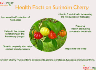 Interesting Health Facts on Suriname Cherry health-Facts-on-Suriname-Cherry