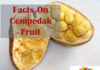 Health Benefits On Cempedak Fruit health benefits On cempedak fruit
