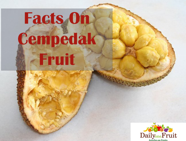health benefits On cempedak fruit