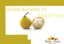 Health Facts On Santol Fruit health benefits of santol fruit