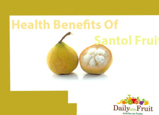Health Facts On Santol Fruit health benefits of santol fruit