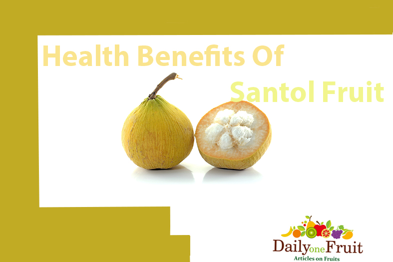 health benefits of santol fruit
