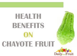 Health Benefits On Chayote Fruit health benefits on chayote fruit