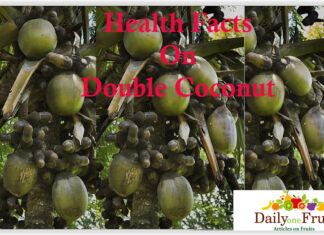 Health Facts On Double Coconut health facs on dobule coconut