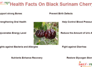 Interesting Health Facts on Black Surinam Cherry health facts on black surinam cherry