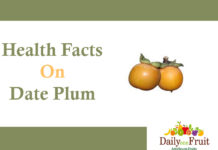 Health Facts On Date Plum health facts on date plum