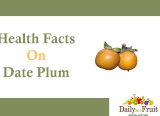 Health Facts On Date Plum health facts on date plum