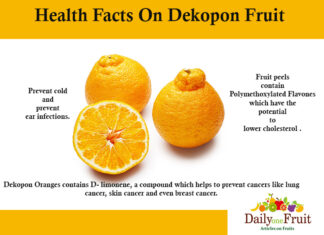 Facts On Dekopon Orange Fruit health facts on dekopon fruit