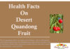 Facts on Desert Quandong Fruit health facts on desert quandong fruit