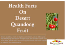Facts on Desert Quandong Fruit health facts on desert quandong fruit
