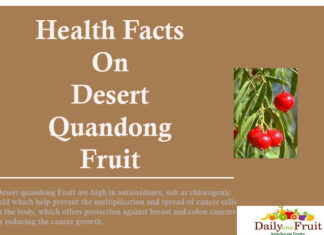 Facts on Desert Quandong Fruit health facts on desert quandong fruit