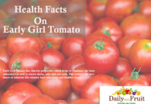 Health Facts on Early Girl Tomato health facts on early girl tomato