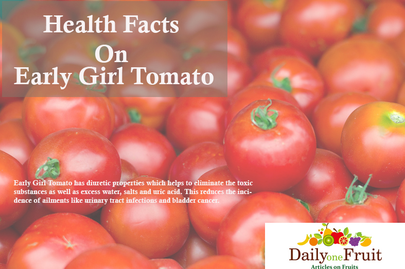 health facts on early girl tomato