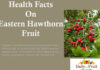 Health Facts On Eastern Hawthorn health facts on eastern hawthorn