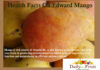 Health Facts On Edward Mango health facts on edward mango