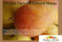 Health Facts On Edward Mango health facts on edward mango