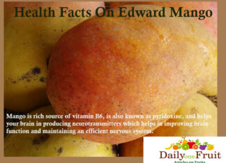 Health Facts On Edward Mango health facts on edward mango