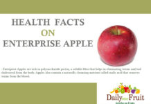 Health Facts On Enterprise Apple health facts on enterprise apple