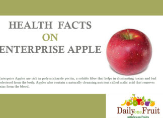 Health Facts On Enterprise Apple health facts on enterprise apple
