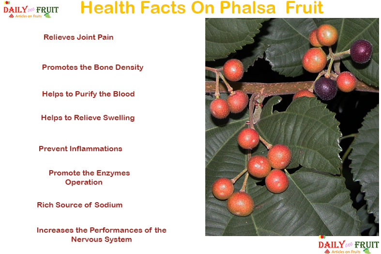 health-facts-on-phalsa