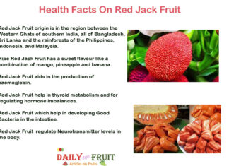 Health Facts On Red Jack Fruit health-facts-on-red-jack-fruit
