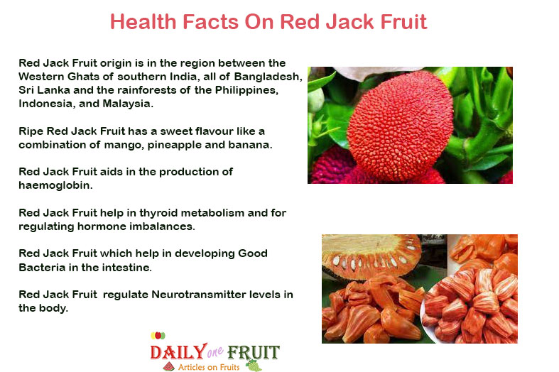 health-facts-on-red-jack-fruit