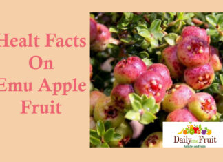 Health Fatcs On Emu Apple health facts on emu apple