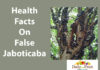 Health Facts On False Jaboticaba health facts on false jaboticaba