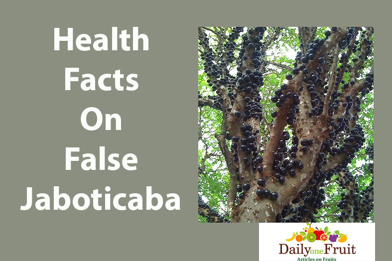 health facts on false jaboticaba