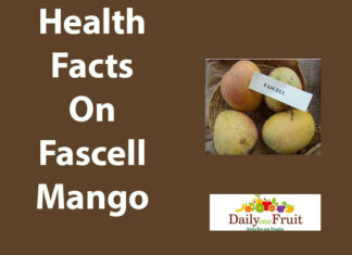 Health Facts On Fascell mango health facts on fascell mango