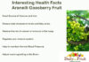 Interesting Facts On Aranelli gooseberry interesting Health Facts On Aranelli goosberry fruit