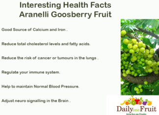 How to say Gooseberry in Other Language interesting Health Facts On Aranelli goosberry fruit